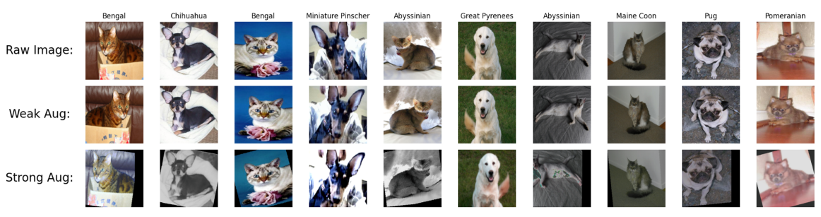 FixMatch Augmentations